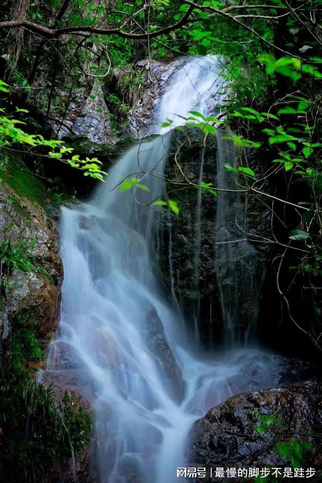 不记名手机卡哪里可以买